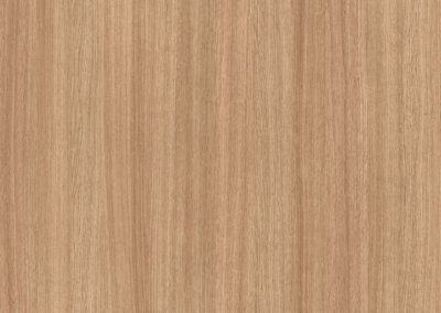 MADERAS – RM 0037 – Roble Slavo