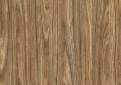 MADERAS – RM 0045 – Cathedral Wood