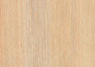 MADERAS – RM 0033 – Tender Oak