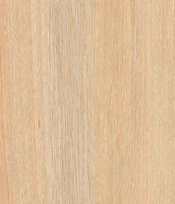 MADERAS – RM 0033 – Tender Oak