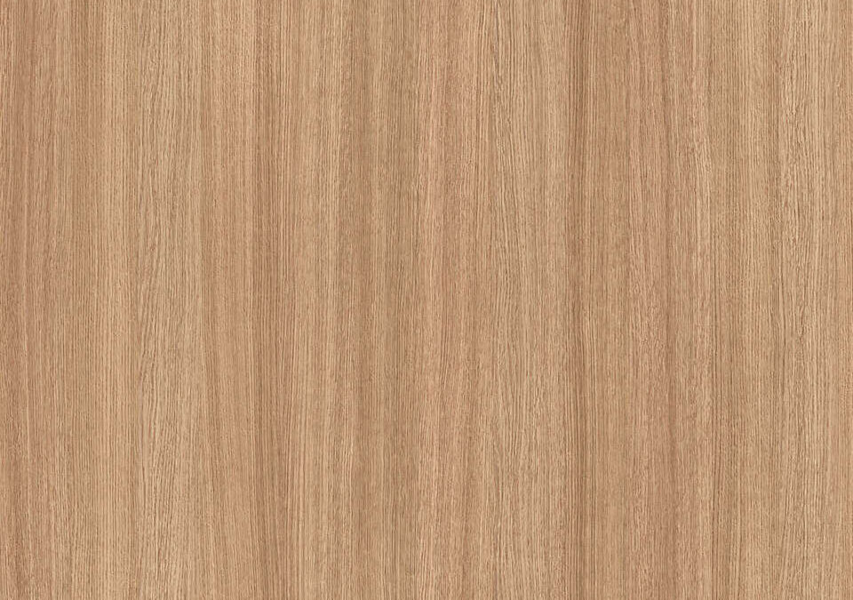 MADERAS – RM 0037 – Roble Slavo