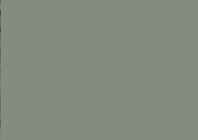 UNICOLORES – RM 0066 – Verde Bambu