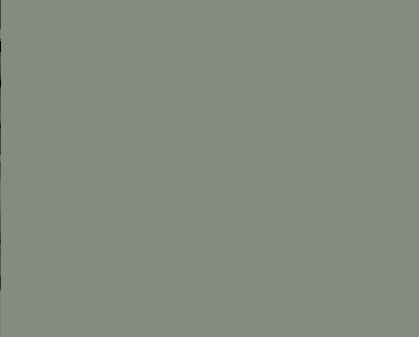 UNICOLORES – RM 0066 – Verde Bambu
