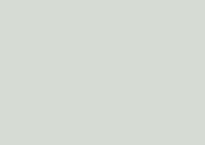 UNICOLORES – RM 0077 – Gris Popular