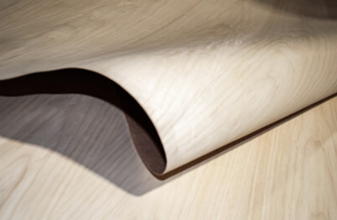 13.MAPLE US_Erable US dosse